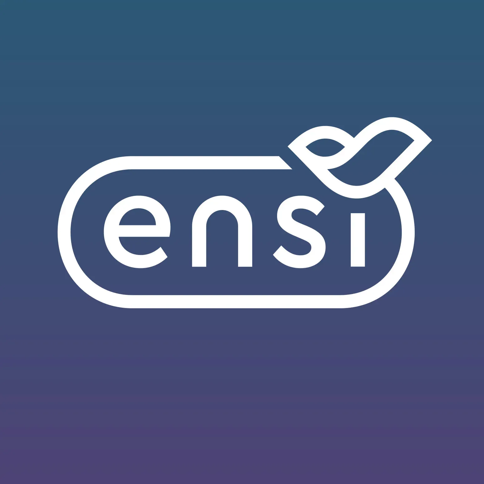 Российская платформа для e-commerce Ensi переходит с PHP на Go